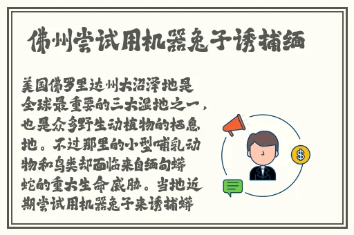 公交车上售票员用b验票小镇